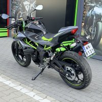 IMG_4255.jpg